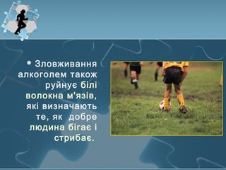  Зловживання
алкоголем також
руйнує білі
волокна м'язів,
які визначають
те, як добре
людина бігає і
стрибає.
 