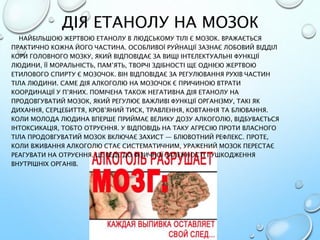 ДІЯ ЕТАНОЛУ НА МОЗОК
НАЙБІЛЬШОЮ ЖЕРТВОЮ ЕТАНОЛУ В ЛЮДСЬКОМУ ТІЛІ Є МОЗОК. ВРАЖАЄТЬСЯ
ПРАКТИЧНО КОЖНА ЙОГО ЧАСТИНА. ОСОБЛИВОЇ РУЙНАЦІЇ ЗАЗНАЄ ЛОБОВИЙ ВІДДІЛ
КОРИ ГОЛОВНОГО МОЗКУ, ЯКИЙ ВІДПОВІДАЄ ЗА ВИЩІ ІНТЕЛЕКТУАЛЬНІ ФУНКЦІЇ
ЛЮДИНИ, ЇЇ МОРАЛЬНІСТЬ, ПАМ’ЯТЬ, ТВОРЧІ ЗДІБНОСТІ ЩЕ ОДНІЄЮ ЖЕРТВОЮ
ЕТИЛОВОГО СПИРТУ Є МОЗОЧОК. ВІН ВІДПОВІДАЄ ЗА РЕГУЛЮВАННЯ РУХІВ ЧАСТИН
ТІЛА ЛЮДИНИ. САМЕ ДІЯ АЛКОГОЛЮ НА МОЗОЧОК Є ПРИЧИНОЮ ВТРАТИ
КООРДИНАЦІЇ У П’ЯНИХ. ПОМІЧЕНА ТАКОЖ НЕГАТИВНА ДІЯ ЕТАНОЛУ НА
ПРОДОВГУВАТИЙ МОЗОК, ЯКИЙ РЕГУЛЮЄ ВАЖЛИВІ ФУНКЦІЇ ОРГАНІЗМУ, ТАКІ ЯК
ДИХАННЯ, СЕРЦЕБИТТЯ, КРОВ’ЯНИЙ ТИСК, ТРАВЛЕННЯ, КОВТАННЯ ТА БЛЮВАННЯ.
КОЛИ МОЛОДА ЛЮДИНА ВПЕРШЕ ПРИЙМАЄ ВЕЛИКУ ДОЗУ АЛКОГОЛЮ, ВІДБУВАЄТЬСЯ
ІНТОКСИКАЦІЯ, ТОБТО ОТРУЄННЯ. У ВІДПОВІДЬ НА ТАКУ АГРЕСІЮ ПРОТИ ВЛАСНОГО
ТІЛА ПРОДОВГУВАТИЙ МОЗОК ВКЛЮЧАЄ ЗАХИСТ — БЛЮВОТНИЙ РЕФЛЕКС. ПРОТЕ,
КОЛИ ВЖИВАННЯ АЛКОГОЛЮ СТАЄ СИСТЕМАТИЧНИМ, УРАЖЕНИЙ МОЗОК ПЕРЕСТАЄ
РЕАГУВАТИ НА ОТРУЄННЯ. ЦЕ ВЕДЕ ДО ФІЗИЧНОЇ ЗАЛЕЖНОСТІ І УШКОДЖЕННЯ
ВНУТРІШНІХ ОРГАНІВ.
 