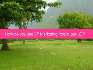 How do you see VP Marketing role in our LC ?  