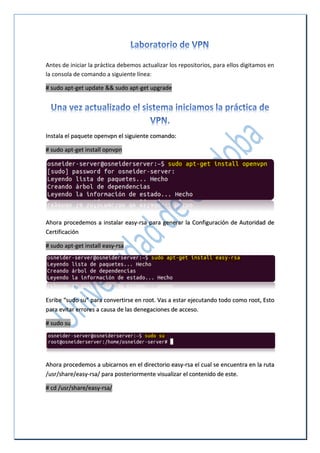 Antes de iniciar la práctica debemos actualizar los repositorios, para ellos digitamos en
la consola de comando a siguiente línea:
# sudo apt-get update && sudo apt-get upgrade
Instala el paquete openvpn el siguiente comando:
# sudo apt-get install opnvpn
Ahora procedemos a instalar easy-rsa para generar la Configuración de Autoridad de
Certificación
# sudo apt-get install easy-rsa
Esribe “sudo su” para convertirse en root. Vas a estar ejecutando todo como root, Esto
para evitar errores a causa de las denegaciones de acceso.
# sudo su
Ahora procedemos a ubicarnos en el directorio easy-rsa el cual se encuentra en la ruta
/usr/share/easy-rsa/ para posteriormente visualizar el contenido de este.
# cd /usr/share/easy-rsa/
 