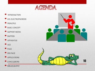 INTRODUCTION
GEL ELECTROPHORESIS
PRINCIPLE
BASIC CONCEPT
SUPPORT MEDIA
BUFFERS
APPARATUS
AGE
PAGE
SDS PAGE
APPLICATIONS
CONCLUSIONS
BIBLIOGRAPHY
10
 