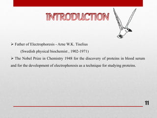  Father of Electrophoresis - Arne W.K. Tiselius
(Swedish physical biochemist , 1902-1971)
 The Nobel Prize in Chemistry 1948 for the discovery of proteins in blood serum
and for the development of electrophoresis as a technique for studying proteins.
11
 
