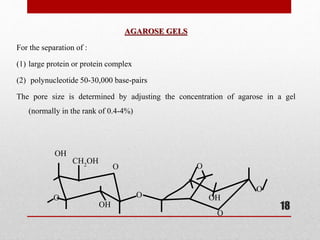 AGAROSE GELS
For the separation of :
(1) large protein or protein complex
(2) polynucleotide 50-30,000 base-pairs
The pore size is determined by adjusting the concentration of agarose in a gel
(normally in the rank of 0.4-4%)
OH
O
OH
CH2OH O
O OH
O
O
O
18
 