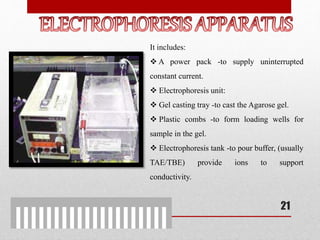 It includes:
 A power pack -to supply uninterrupted
constant current.
 Electrophoresis unit:
 Gel casting tray -to cast the Agarose gel.
 Plastic combs -to form loading wells for
sample in the gel.
 Electrophoresis tank -to pour buffer, (usually
TAE/TBE) provide ions to support
conductivity.
21
 