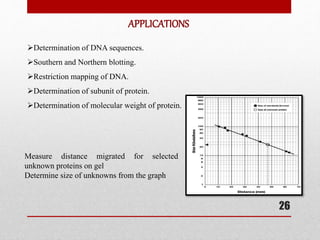 APPLICATIONS
Determination of DNA sequences.
Southern and Northern blotting.
Restriction mapping of DNA.
Determination of subunit of protein.
Determination of molecular weight of protein.
Measure distance migrated for selected
unknown proteins on gel
Determine size of unknowns from the graph
26
 