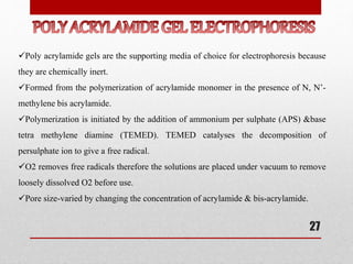Poly acrylamide gels are the supporting media of choice for electrophoresis because
they are chemically inert.
Formed from the polymerization of acrylamide monomer in the presence of N, N’-
methylene bis acrylamide.
Polymerization is initiated by the addition of ammonium per sulphate (APS) &base
tetra methylene diamine (TEMED). TEMED catalyses the decomposition of
persulphate ion to give a free radical.
O2 removes free radicals therefore the solutions are placed under vacuum to remove
loosely dissolved O2 before use.
Pore size-varied by changing the concentration of acrylamide & bis-acrylamide.
27
 