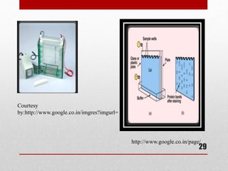 Courtesy
by:http://www.google.co.in/imgres?imgurl=
http://www.google.co.in/page/
29
 