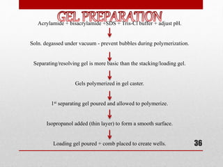 36
Acrylamide + bisacrylamide +SDS + Tris-Cl buffer + adjust pH.
Soln. degassed under vacuum - prevent bubbles during polymerization.
Separating/resolving gel is more basic than the stacking/loading gel.
Gels polymerized in gel caster.
1st separating gel poured and allowed to polymerize.
Isopropanol added (thin layer) to form a smooth surface.
Loading gel poured + comb placed to create wells.
 
