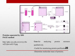 .
Proteins separated by SDS
PAGE method
http://jpkc.scu.edu.cn/ywwy/zbs
w(E)/pic/ech3-9.jpg
Uses-for analyzing protein mixtures
qualitatively.
-Useful for monitoring protein purification.
-Determine molecular mass of proteins.
39
 
