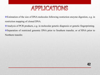 Estimation of the size of DNA molecules following restriction enzyme digestion, e.g. in
restriction mapping of cloned DNA.
Analysis of PCR products, e.g. in molecular genetic diagnosis or genetic fingerprinting.
Separation of restricted genomic DNA prior to Southern transfer, or of RNA prior to
Northern transfer.
42
 