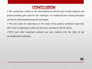  By conducting a study on Gel electrophoresis and the types of gels (agarose and
polyacrylamide gels) used for this technique, we understand the various principles
and theory behind performing this technique.
 We also learnt its importance in the study of the genetic materials (especially
DNA and its fragments), which are the basic elements of all life forms.
RNA and other important proteins are also studied with the help of gel
electrophoresis technique.
43
 