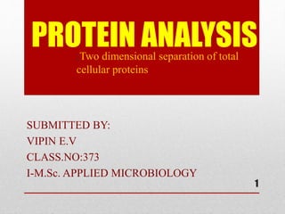 PROTEIN ANALYSIS;Two dimensional separation of total
cellular proteins
1
SUBMITTED BY:
VIPIN E.V
CLASS.NO:373
I-M.Sc. APPLIED MICROBIOLOGY
 