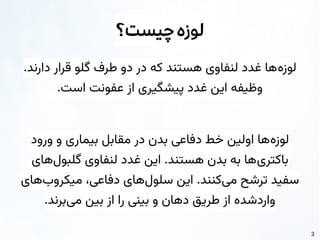 3
‫چیست؟‬‫لوزه‬
.‫دارند‬ ‫قرار‬ ‫گلو‬ ‫طرف‬ ‫دو‬ ‫در‬ ‫که‬ ‫هستند‬ ‫لنفاوی‬ ‫غدد‬ ‫‌ها‬
‫ه‬‫لوز‬
.‫است‬ ‫عفونت‬ ‫از‬ ‫پیشگیری‬ ‫غدد‬ ‫این‬ ‫وظیفه‬
‫ورود‬ ‫و‬ ‫بیماری‬ ‫مقابل‬ ‫در‬ ‫بدن‬ ‫دفاعی‬ ‫خط‬ ‫اولین‬ ‫‌ها‬
‫ه‬‫لوز‬
‫‌های‬
‫ل‬‫گلبو‬ ‫لنفاوی‬ ‫غدد‬ ‫این‬ .‫هستند‬ ‫بدن‬ ‫به‬ ‫‌ها‬
‫ی‬‫باکتر‬
‫‌های‬
‫ب‬‫میکرو‬ ،‫دفاعی‬ ‫‌های‬
‫ل‬‫سلو‬ ‫این‬ .‫‌کنند‬
‫ی‬‫م‬ ‫ترشح‬ ‫سفید‬
.‫‌برند‬
‫ی‬‫م‬ ‫بین‬ ‫از‬ ‫را‬ ‫بینی‬ ‫و‬ ‫دهان‬ ‫طریق‬ ‫از‬ ‫واردشده‬
 