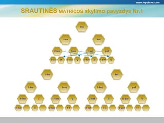鴡ձĖS   MATRICOS  skylimo pavyzdys Nr.1 www.vpotoke.com 