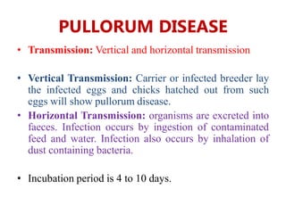 Pullorum Loop VPP 12. Salmonellosis(Avian salmonell.pdf