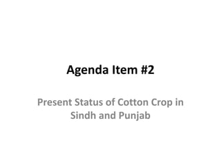 Agenda Item #2
Present Status of Cotton Crop in
Sindh and Punjab
 