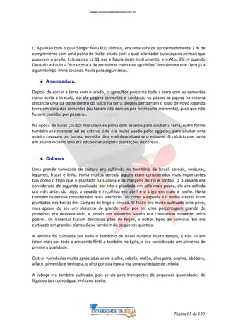 Página 63 de 120
O Aguilhão com o qual Sangar feriu 600 filisteus, era uma vara de aproximadamente 2 m de
comprimento com uma ponta de metal afiada com a qual o lavrador cutucava os animais que
puxavam o arado, Eclesiastes 12:11 usa a figura deste instrumento; em Atos 26:14 quando
Deus diz a Paulo - "dura coisa a de recalcitrar contra os aguilhões" isto denota que Deus já a
algum tempo vinha tocando Paulo para seguir Jesus.
A semeadura.
Depois de cortar a terra com o arado, o agricultor percorria toda a terra com as sementes
numa sexta a tiracolo, daí ele pegava sementes e contando os passos as jogava na mesma
distância uma da outra dentro do sulco na terra. Depois percorriam o tudo de novo jogando
terra em cima das sementes (ou faziam isto com os pés no mesmo momento), para que não
fossem comidas por pássaros.
Na época de Isaías (25:10) misturava-se palha com esterco para adubar a terra, outra forma
também era misturar sal ao esterco este era muito usado pelos egípcios, para adubar uma
videira cavavam um buraco ao redor dela e ali depositava se o estrume. O calcário que havia
em abundância no solo era adubo natural para plantações de cereais.
Culturas
Uma grande variedade de cultura era cultivada no território de Israel, cereais, verduras,
legumes, frutas e linho. Havia muitos cereais, alguns eram considerados mais importantes
tais como o trigo que é plantado na Galiléia e às margens do rio e Jordão, já a cevada era
considerada de segunda qualidade por isto é plantada em solo mais pobre, ela era colhida
um mês antes do trigo, a cevada é recolhida em abril e o trigo em maio e junho. Havia
também os cereais considerados mais inferiores tais como a espelda e o endro e estes eram
plantados nas beiras dos Campos de trigo e cevada. O feijão era muito cultivado pelo povo,
mas apesar de ser um alimento de grande valor por ter uma porcentagem grande de
proteínas era desvalorizado, e sendo um alimento barato era consumido somente pelos
pobres. Os israelitas faziam deliciosos pães de feijão, e outros tipos de comidas. Ele era
cultivado em grandes plantações e também de pequenos quintais.
A lentilha foi cultivada por todo o território de Israel durante muito tempo, e não só em
Israel mais por todo o crescente fértil e também no Egito, e era considerado um alimento de
primeira qualidade.
Outras variedades muito apreciadas eram o alho, cebola, melão, alho poro, pepino, abóbora,
alface, pimentão e berinjela, o alho poro da época era uma variedade de cebola.
A cabaça era também cultivada, pois se via para transportes de pequenas quantidades de
líquidos tais como água, vinho ou azeite.
www.universidadedabiblia.com.br
 