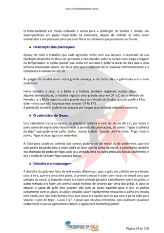 Página 64 de 120
O linho também era muito cultivado e servia para a confecção de tecidos e cordas, ele
desempenhava um papel importante na economia, depois de colhido os talos eram
submetidos a um processo para que suas fibras se soltassem que pudessem ser fiadas.
Destruição das plantações.
Apesar de todo o trabalho que cada agricultor tinha com sua lavoura, o resultado da sua
plantação dependia de Deus ser generoso e não mandar sobre o campo uma longa estiagem
ou tempestades. O vento quente que vinha em outubro e poderia durar de três dias a uma
semana chamavase sicoro, ele fazia com que a umidade do ar baixasse tremendamente e a
temperatura subisse em até 20 °.
As pragas de insetos eram outra grande ameaça, e de todos eles o gafanhoto era o mais
destruidor.
Havia também a seca, e a Bíblia e a história também registram muitas delas,
algumas devastadoras, a história registra uma grande seca em 24 a.C no o reinado de
Herodes, e a Bíblia registra outra grande seca no reinado de Acabe, quando profeta Elias
determinou que não houvesse mais chuvas -1º Rs 17:1.
A plantação também poderia ser atacada por fungos se a umidade estivesse excessiva.
O calendário de Gezer.
Este calendário trazia as épocas de plantio e colheita e vem do século XX a.C, por vezes o
povo usava de expressões relacionadas a período das plantações, tal como - "após a colheita
do trigo" que poderia ser julho. Linho: março e abril; Cevada: abril e maio; Trigo: maio e
junho; Figos e Uvas: agosto e setembro.
A foice para usada na colheita dos cereais poderia ser de metal ou de pederneira, que era
uma pedra bastante dura a onde podia se fazer um fio como no metal, a pederneira também
era chamada de pedra de fogo, pois se a atritada uma na outra produziu faíscas facilmente, e
era o modo de se fazer fogo naquela época.
Debulha e armazenagem
A debulha do grão era feita de três modos diferentes, após o grão ser colhido ele era levado
para a eira, que era uma área plana, o primeiro modo é bater com varas no cereal para que
soltasse da casca, o segundo modo era fazer animais pesados caminharem sobre os grãos, e
outro método era fazer um animal puxar troncos de árvores por cima dos grãos. E para se
separar a casca do grão eles usavam pás com as quais jogavam para o alto as palhas
juntamente com os grãos, os grãos pesados caiam rapidamente enquanto a palha era levada
pelo vento, por isso João Batista disse que Jesus era aquele que estava com a pá na mão para
separar o joio do trigo - Lucas 3:17, o povo que escutou entendeu, pois puderam visualizar
exatamente o que os agricultores faziam; e agora você também já pode!
www.universidadedabiblia.com.br
 