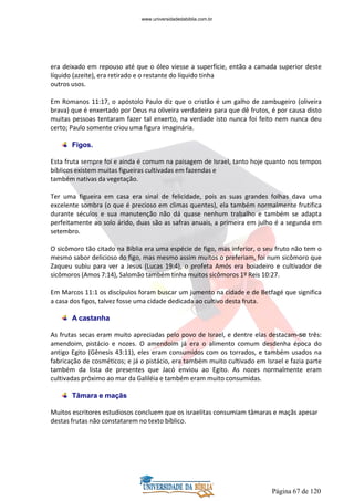 Página 67 de 120
era deixado em repouso até que o óleo viesse a superfície, então a camada superior deste
líquido (azeite), era retirado e o restante do líquido tinha
outros usos.
Em Romanos 11:17, o apóstolo Paulo diz que o cristão é um galho de zambugeiro (oliveira
brava) que é enxertado por Deus na oliveira verdadeira para que dê frutos, é por causa disto
muitas pessoas tentaram fazer tal enxerto, na verdade isto nunca foi feito nem nunca deu
certo; Paulo somente criou uma figura imaginária.
Figos.
Esta fruta sempre foi e ainda é comum na paisagem de Israel, tanto hoje quanto nos tempos
bíblicos existem muitas figueiras cultivadas em fazendas e
também nativas da vegetação.
Ter uma figueira em casa era sinal de felicidade, pois as suas grandes folhas dava uma
excelente sombra (o que é precioso em climas quentes), ela também normalmente frutifica
durante séculos e sua manutenção não dá quase nenhum trabalho e também se adapta
perfeitamente ao solo árido, duas são as safras anuais, a primeira em julho é a segunda em
setembro.
O sicômoro tão citado na Bíblia era uma espécie de figo, mas inferior, o seu fruto não tem o
mesmo sabor delicioso do figo, mas mesmo assim muitos o preferiam, foi num sicômoro que
Zaqueu subiu para ver a Jesus (Lucas 19:4), o profeta Amós era boiadeiro e cultivador de
sicômoros (Amos 7:14), Salomão também tinha muitos sicômoros 1º Reis 10:27.
Em Marcos 11:1 os discípulos foram buscar um jumento na cidade e de Betfagé que significa
a casa dos figos, talvez fosse uma cidade dedicada ao cultivo desta fruta.
A castanha
As frutas secas eram muito apreciadas pelo povo de Israel, e dentre elas destacam-se três:
amendoim, pistácio e nozes. O amendoim já era o alimento comum desdenha época do
antigo Egito (Gênesis 43:11), eles eram consumidos com os torrados, e também usados na
fabricação de cosméticos; e já o pistácio, era também muito cultivado em Israel e fazia parte
também da lista de presentes que Jacó enviou ao Egito. As nozes normalmente eram
cultivadas próximo ao mar da Galiléia e também eram muito consumidas.
Tâmara e maçãs
Muitos escritores estudiosos concluem que os israelitas consumiam tâmaras e maçãs apesar
destas frutas não constatarem no texto bíblico.
www.universidadedabiblia.com.br
 
