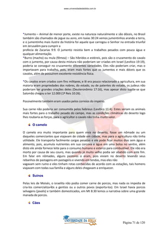 Página 71 de 120
*Jumento – Animal de menor porte, existe na natureza naturalmente e são dóceis, no Brasil
também são chamados de jegue ou asno, em Isaías 30:24 vemos jumentinhos arando a terra,
e o jumentinho mais ilustre da história foi aquele que carregou o Senhor na entrada triunfal
em Jerusalém para cumprir a
profecia de Zacarias 9:9. O jumento resistia bem a trabalhos pesados com pouca água e
qualquer alimentação.
*Burro (macho) ou mula (fêmea) – São híbridos e estéreis, pois são o cruzamento do cavalo
com o jumento, por causa desta mistura não poderiam ser criadas em Israel (Levítico 19:19),
poderia se conseguir no cruzamento diferentes variedades. Eles não poderiam criar, mas o
importavam para trabalho, pois, eram mais fortes que os jumentos e mais dóceis que os
cavalos, além de possuírem excelente resistência física.
*Os cavalos eram criados com fins militares, e lê era pouco relacionado a agricultura, em sua
maioria eram propriedades dos nobres, do estado, ou de patentes do estado, os judeus não
poderiam ter grandes criações deles (Deuteronômio 17:16), mas apesar disto supõe-se que
Salomão chegou a ter 12.000 (1º Reis 10:26).
Possivelmente também eram usados pelos correios do império.
Sua carne não poderia ser consumida pelos hebreus (Levítico 11:4). Estes seriam os animais
mais fortes para o trabalho pesado do campo, mas as condições climáticas do deserto logo
lhes roubaria as forças, para o agricultor o cavalo não tinha muito valor.
O camelo
O camelo era muito importante para quem vivia no deserto, fosse um nômade ou um
daqueles comerciantes que viajavam de cidade em cidade, mas para a agricultura não tinha
utilidade. Ele transporta facilmente cargas pesadas e ele pode ficar muitos dias sem água e
alimento, pois, acumula nutrientes em sua corcova e água em uma bolsa no ventre, além
disto ele ainda fornece leite para o consumo humano e esterco para combustível. Ele não era
morto por causa de seu couro, mas quando já muito velho podia ser abatido com este fim.
Em falar em nômades, alguns pastores o eram, pois viviam no deserto levando seus
rebanhos de pastagens em pastagens e vivendo em tendas, mas eles não
vagavam sem rumo e eles tinham rotas conhecidas de acordo com as estações, tais homens
viajavam com todas sua família e alguns deles chegavam a enriquecer.
Suínos
Pelas leis de Moisés, o israelita não podia comer carne de porcos, mas nada os impedia de
cria-los comercializa-los a gentios ou a outros povos (exporta-los). Em Israel havia porcos
selvagens (javalis) e também domesticados, em Mt 8:30 lemos a narrativa sobre uma grande
manada de porcos.
Cães
www.universidadedabiblia.com.br
 