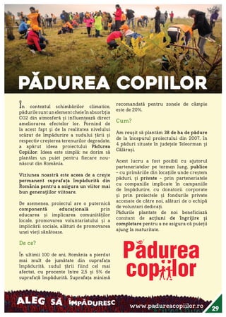 Raportul Anual ViitorPlus 2015