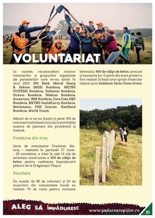 Raportul Anual ViitorPlus 2015