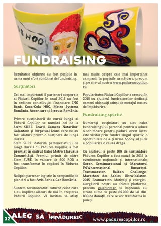 Raportul Anual ViitorPlus 2015