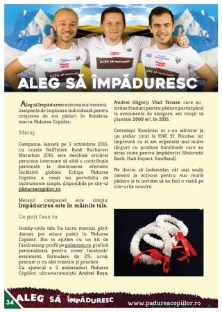 Raportul Anual ViitorPlus 2015