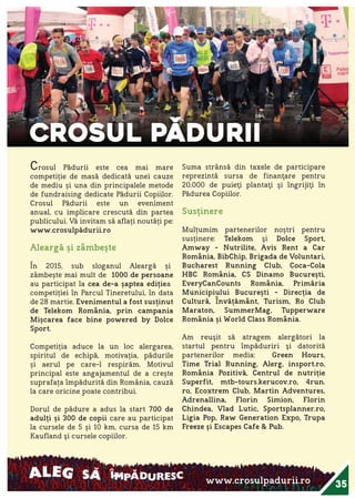 Raportul Anual ViitorPlus 2015