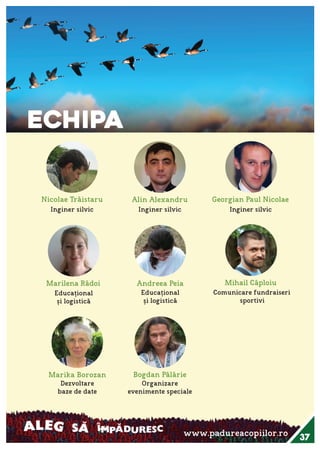 Raportul Anual ViitorPlus 2015