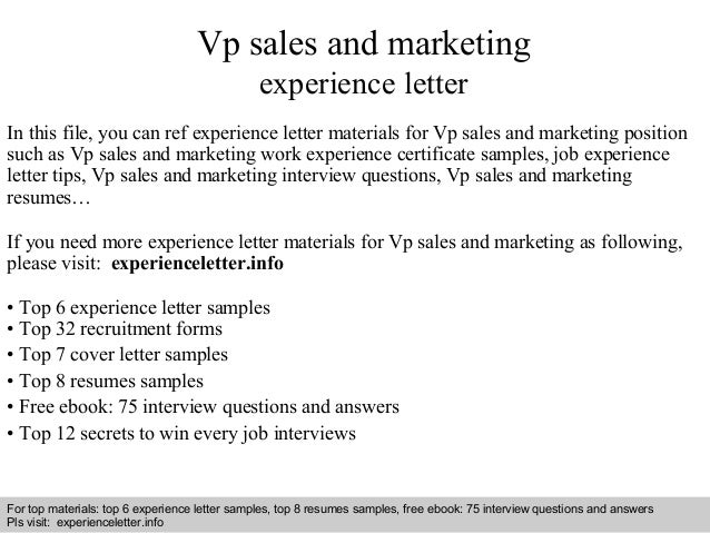 vice president of sales and marketing job description