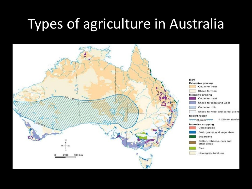 Lesson 6 how is food produced in australia?