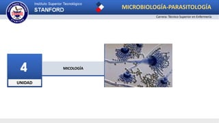 UNIDAD
4 MICOLOGÍA
MICROBIOLOGÍA-PARASITOLOGÍA
Carrera: Técnico Superior en Enfermería
 