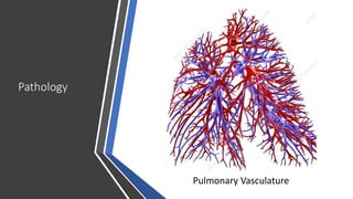 Pathology
Pulmonary Vasculature
 
