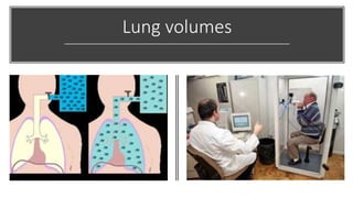 Lung volumes
 