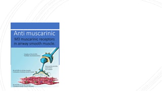 Anti muscarinic
M3 muscarinic receptors
in airway smooth muscle.
 