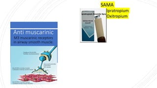 Anti muscarinic
M3 muscarinic receptors
in airway smooth muscle.
SAMA
Ipratropium
Oxitropium
 
