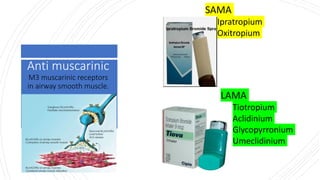 Anti muscarinic
M3 muscarinic receptors
in airway smooth muscle.
SAMA
Ipratropium
Oxitropium
LAMA
Tiotropium
Aclidinium
Glycopyrronium
Umeclidinium
 