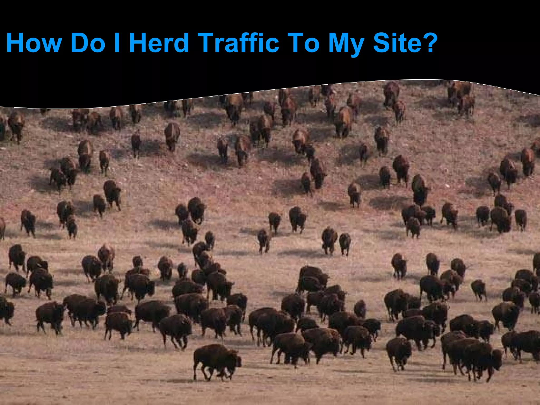 How Do I Herd Traffic To My Site?  