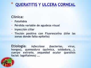 Clínica:
- Fotofobia
- Pérdida variable de agudeza visual
- Inyección ciliar
- Tinción positiva con Fluoresceína (tiñe las
zonas donde falta epitelio)
Etiología: infecciosa (bacterias, virus,
hongos), quemadura (química, soldadura...),
cuerpo extraño, sequedad ocular (parálisis
facial: lagoftalmos) ...
* QUERATITIS Y ULCERA CORNEAL
 