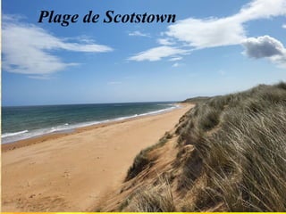 Plage de Scotstown
 