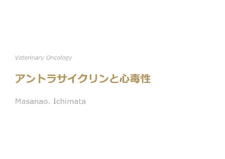 アントラサイクリンと⼼毒性
Masanao. Ichimata
Veterinary Oncology
 