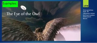 The Eye of the Owl
A documentary
style VR
experience about
the Dutch painter
Hieronymus
Bosch
Examples:
 