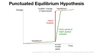 Punctuated equilibrium. (n.d.). In Wikipedia. Retrieved February 19, 2020, from https://en.wikipedia.org/wiki/Punctuated_equilibrium
Punctuated Equilibrium Hypothesis
 