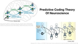 Visual mismatch negativity: A predictive coding view - Scientiﬁc Figure on ResearchGate.
Available from: https://www.researchgate.net/ﬁgure/Simpliﬁed-scheme-of-the-hierarchical-
predictive-coding-framework-Friston-2005-2008_ﬁg1_266401430 [accessed 20 Feb, 2020]
Alexander, W.H., & Brown, J.W. (2018). Frontal cortex function as derived from hierarchical predictive coding. Scientiﬁc Rep
Predictive Coding Theory
Of Neuroscience
 