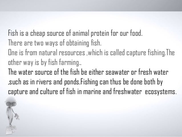 research paper about fish production