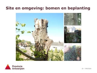 35 - 7/06/2024
Site en omgeving: bomen en beplanting
 