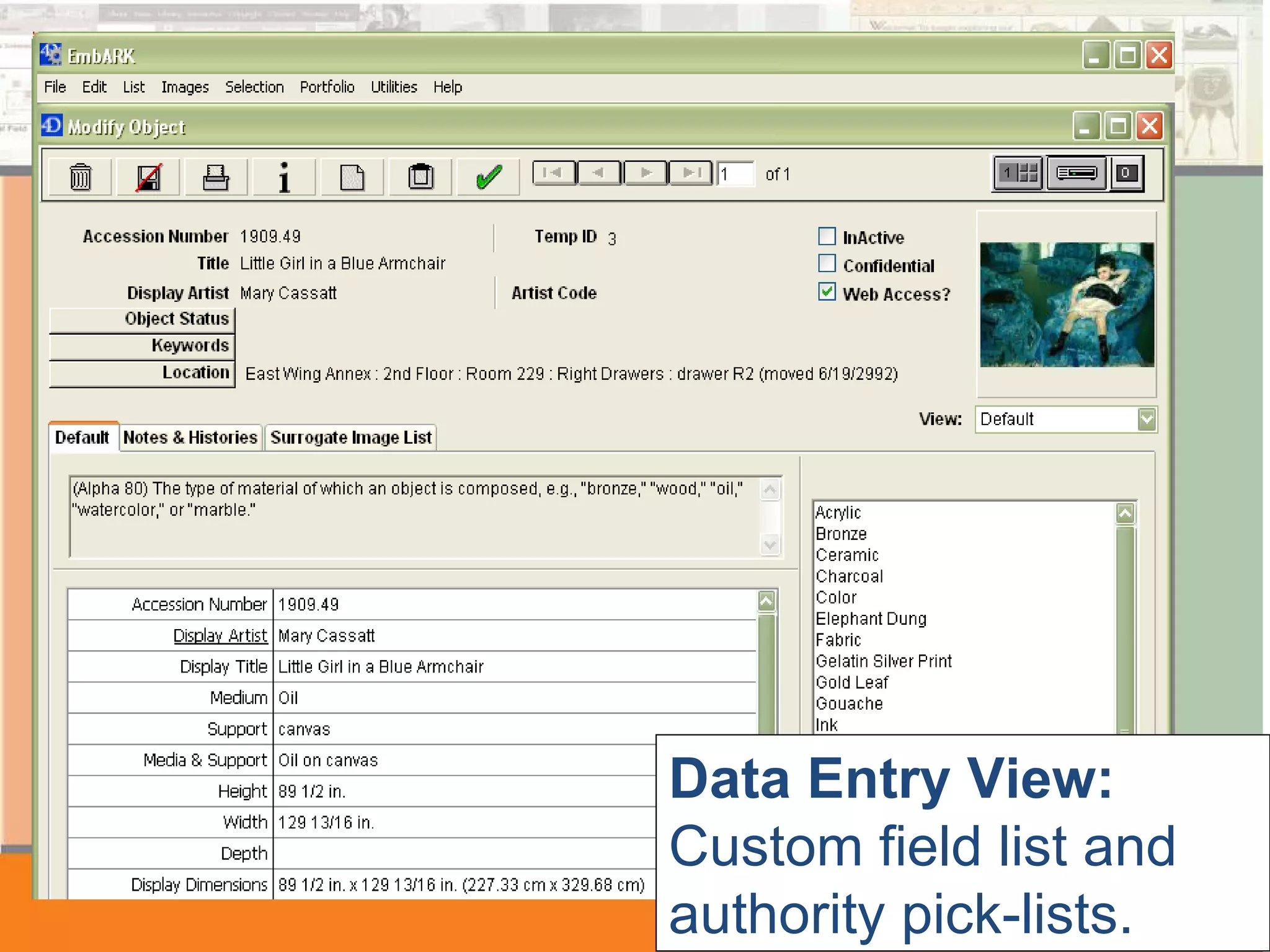 Data Entry View: Custom field list and authority pick-lists.