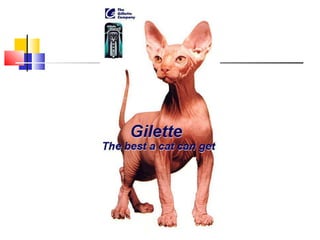 Vraies fausses pubs51