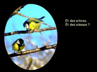 Et des arbres,
Et des oiseaux ?
 